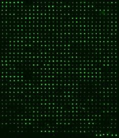 Human Proteome Profiling Array L4000 (Glass Slide)