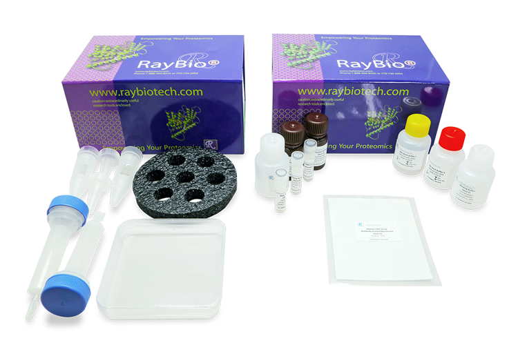 Human Proteome Profiling Array L4000 (Glass Slide)