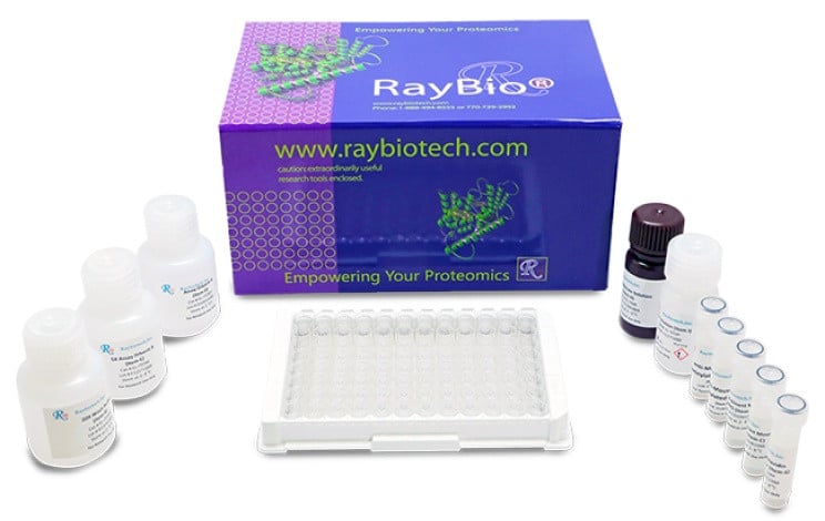 Anti-Daratumumab ELISA Kit
