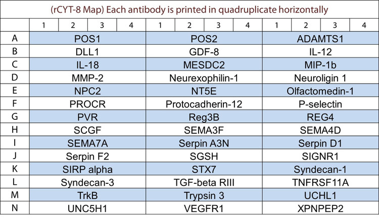 Rat Cytokine Array Q8