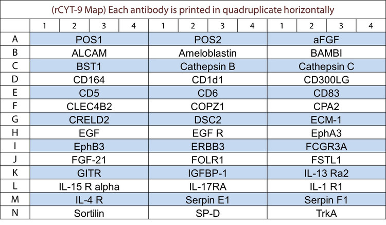 Rat Cytokine Array Q9