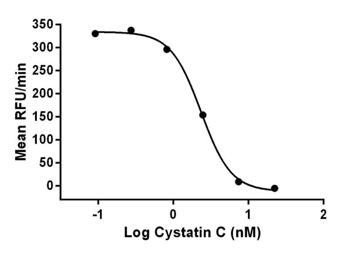 Recombinant Human Cystatin C (cystatin-3) Protein, Biotinylated