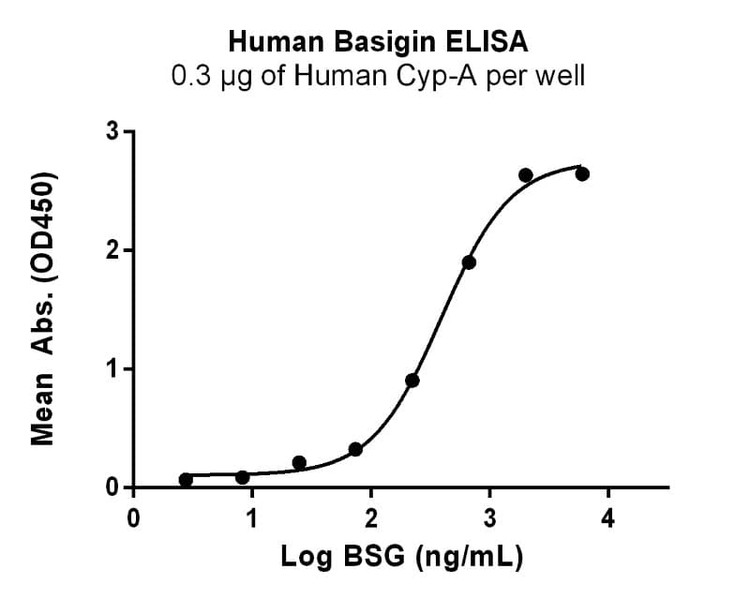 Recombinant Human Basigin Protein, Biotinylated