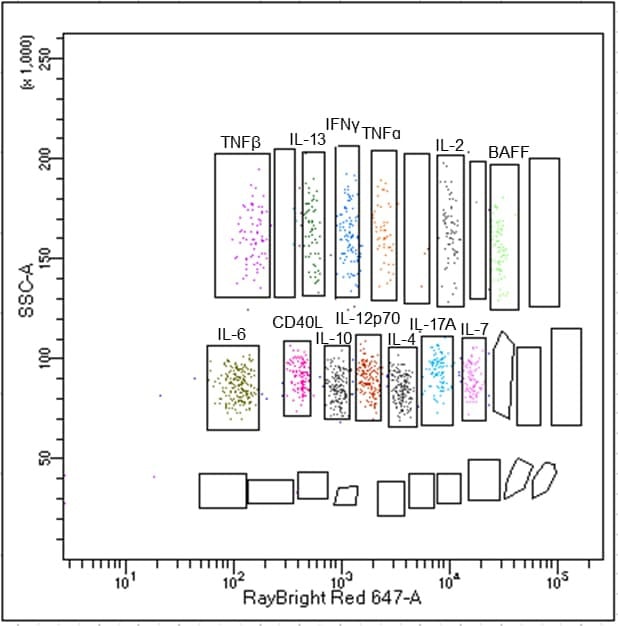 RayPlex® Human B Cell Cytokine Bead Array (13-Plex)