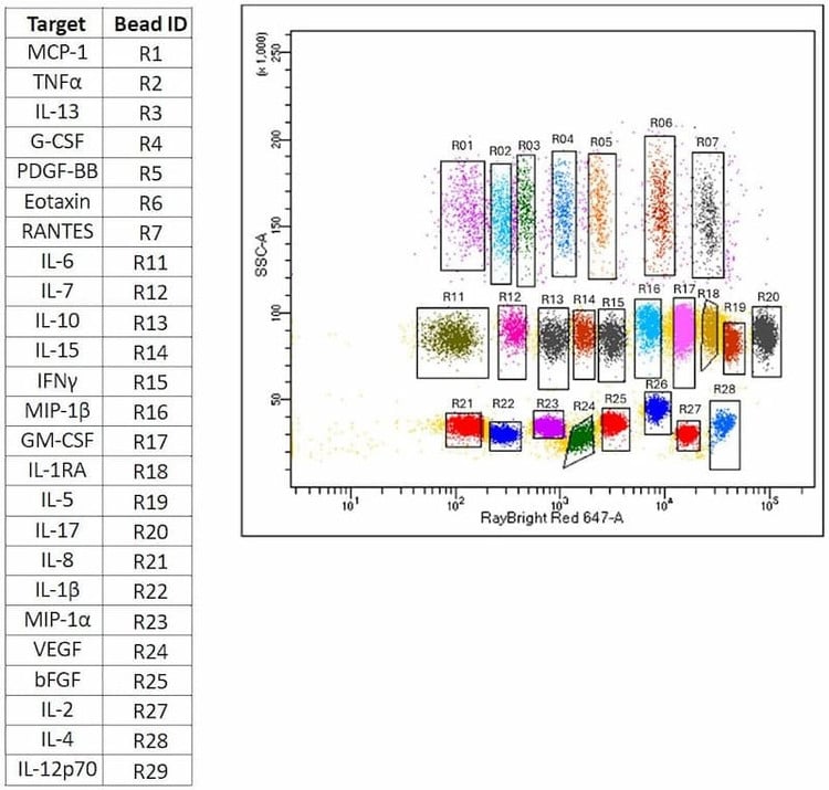 RayPlex® Human Cytokine Storm Bead Array (25-Plex)