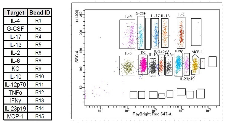RayPlex® Mouse Inflammation Bead Array (13-Plex)