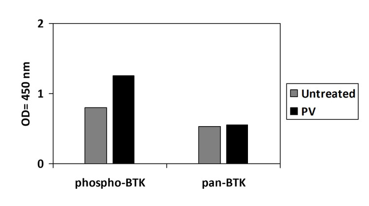 Human Phospho-BTK (Y223) ELISA Kit