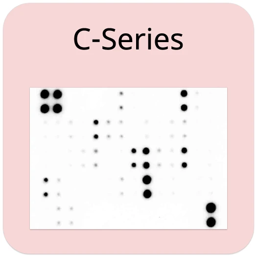Human Cytokine Array C27