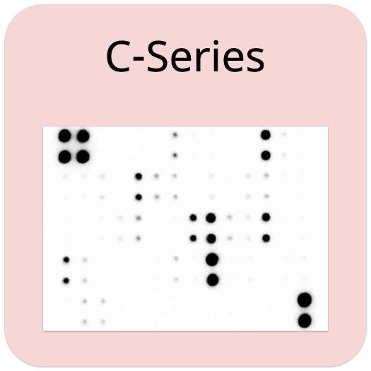 Mouse Cytokine Array C18