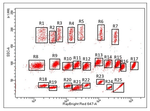 RayPlex® bead size and fluorescent intensities.