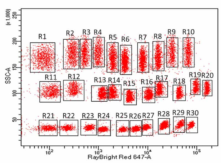 Different populations of bead size and color combinations (“R#”) enable multiplex protein detection with RayPlex arrays.