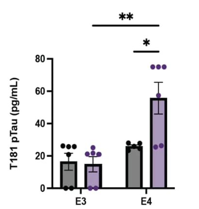 RayBio® Phospho-Tau (T181) ELISA quantified increased tau phosphorylation in iPSC-derived neurons following BMP4 treatment, highlighting its role in tau pathology. Figure adapted from Affaneh et al., Annals of Neurology, 2024.