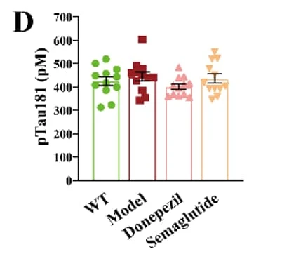 RayBio® Phospho-Tau (T181) ELISA measured p-Tau181 levels in APP/PS1 mouse brain, assessing Semaglutide's effect on tau pathology. Figure adapted from Zhang et al., Biomedicine & Pharmacotherapy, 2024.
