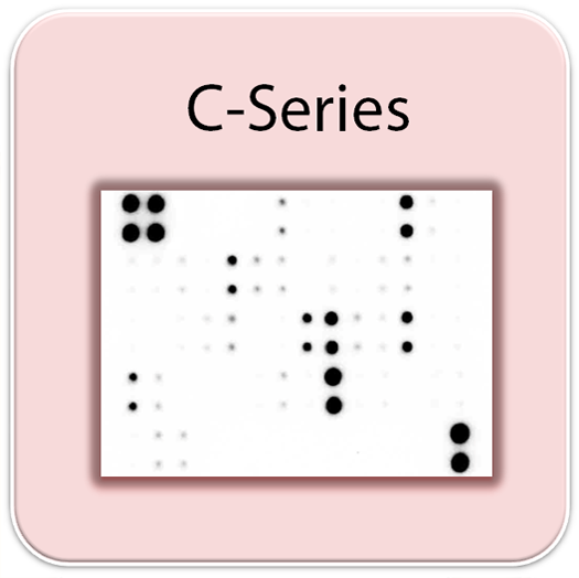 Human JAK/STAT Pathway Array C2