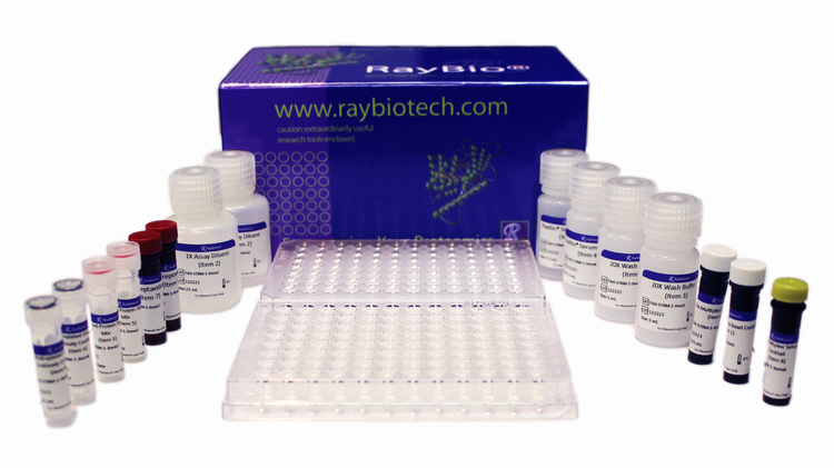 RayPlex® Human Chemokine Bead Array (11-Plex)