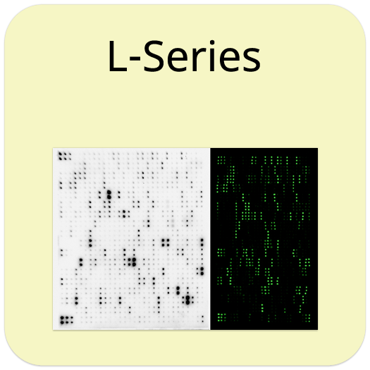 Human Proteome Profiling Array L5 (500-Plex, Glass Slide)
