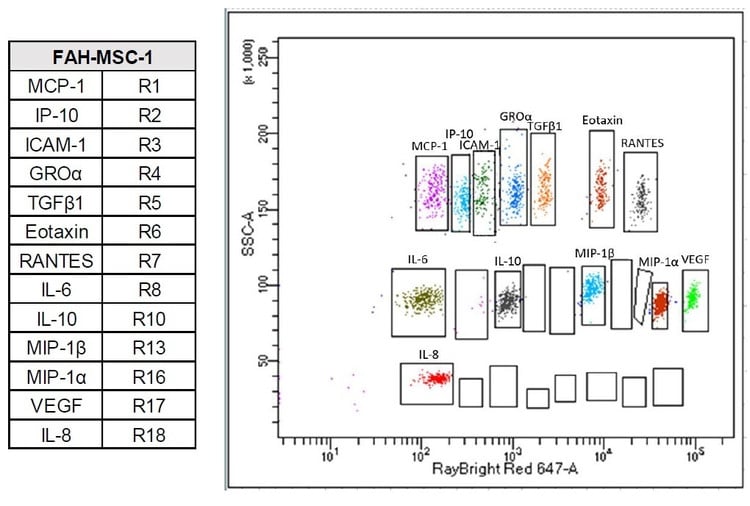 RayPlex® Human Mesenchymal Stem Cell Bead Array (13-Plex)