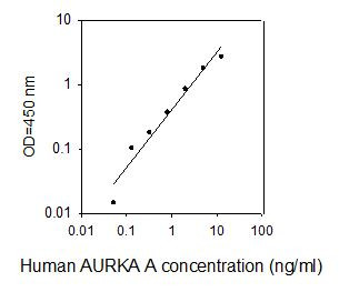 Human AURORA A ELISA kit Standard Curve