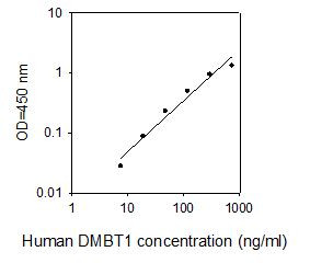 Human DMBT1 ELISA kit Standard Curve