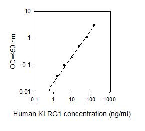 Human KLRG1 ELISA kit Standard Curve