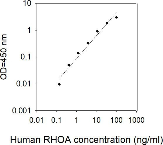 Human RHOA ELISA Kit
