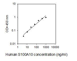 Human S100A10 ELISA kit Standard Curve