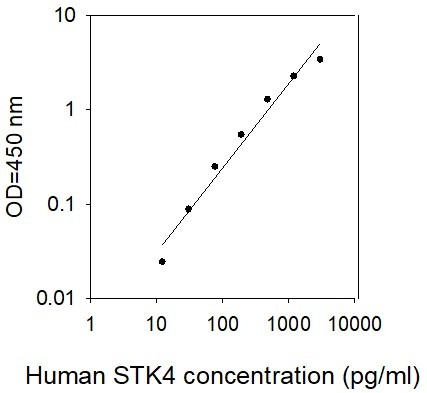 Human STK4 ELISA Kit
