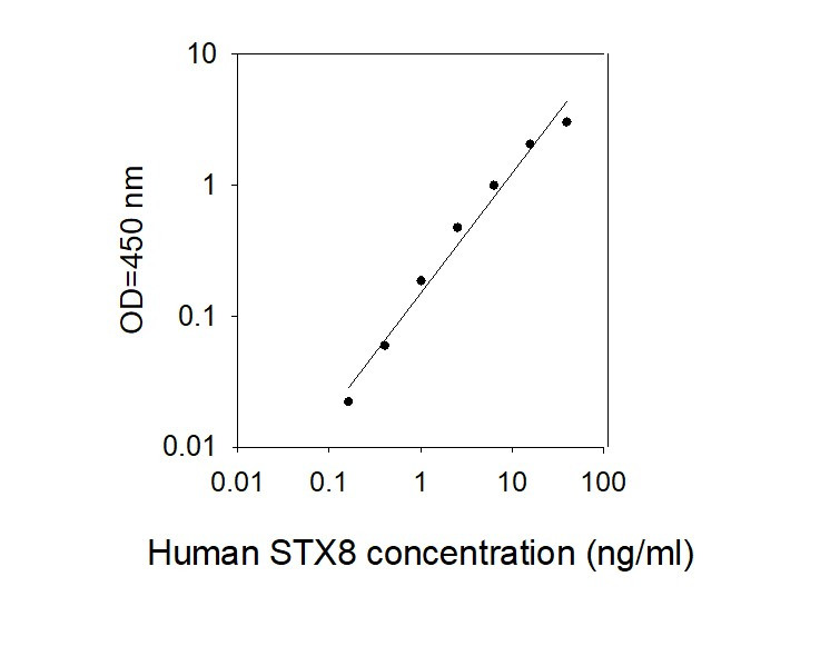Human STX8 ELISA Kit Standard Curve