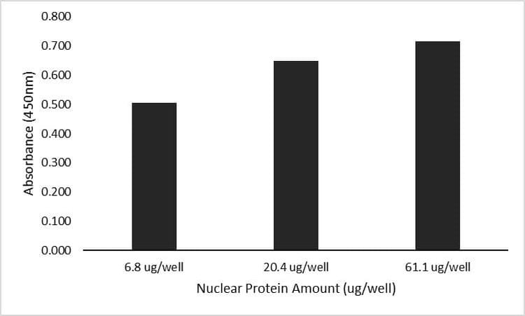 Human ATF-1 Activity Assay Kit
