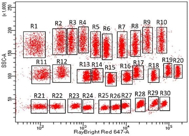 RayPlex® Mouse T Helper Cell Bead Array (12-Plex)