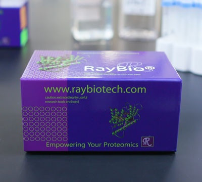 Oxidation (Carbonyl) Assay Kit (Colorimetric)