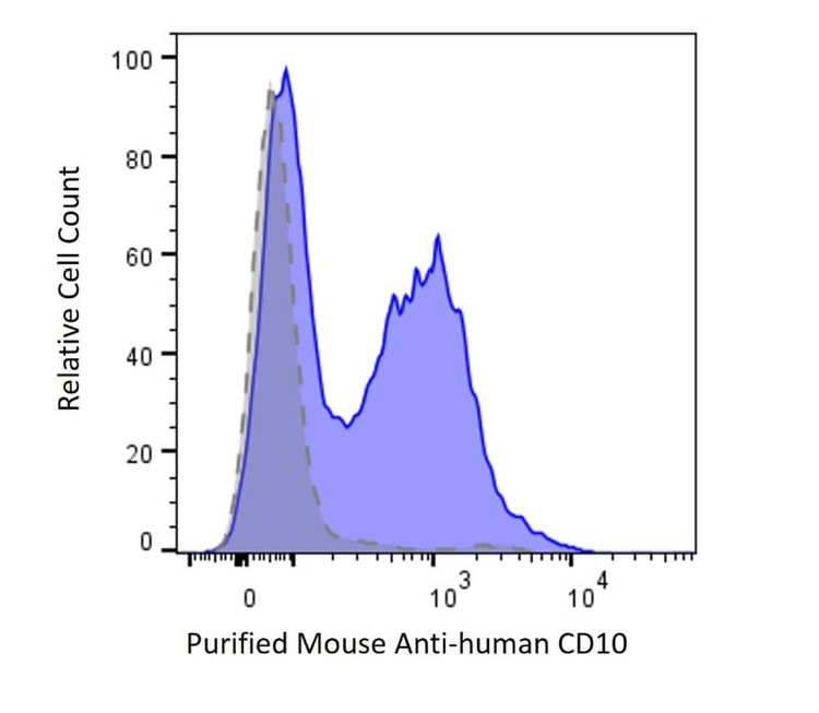 Anti-Human CD10 Antibody, Purified