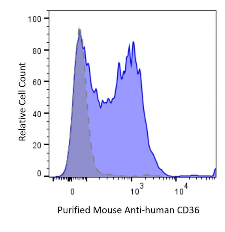Anti-Human CD36 Antibody, Purified