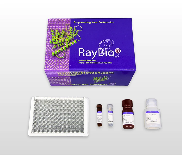 Catalase Activity Assay Kit (Colorimetric)