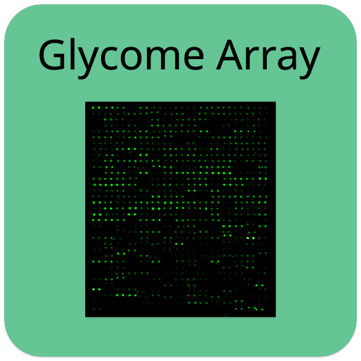 Human Glycosylation Array 8000