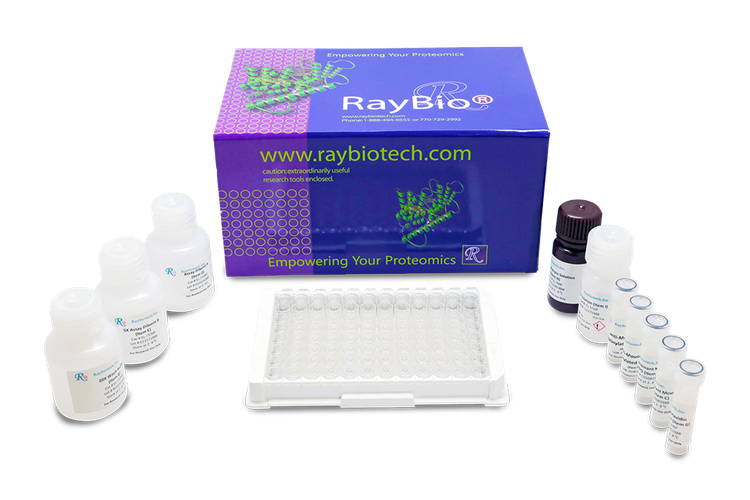 Human MLKL ELISA kit