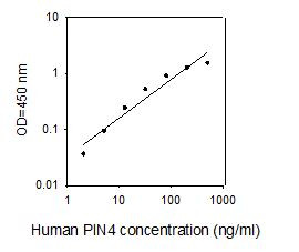 Human PIN4 ELISA kit Standard Curve