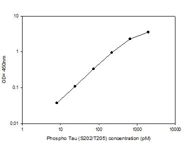 Phospho-Tau (Ser202/Thr205) Quantitative ELISA Kit