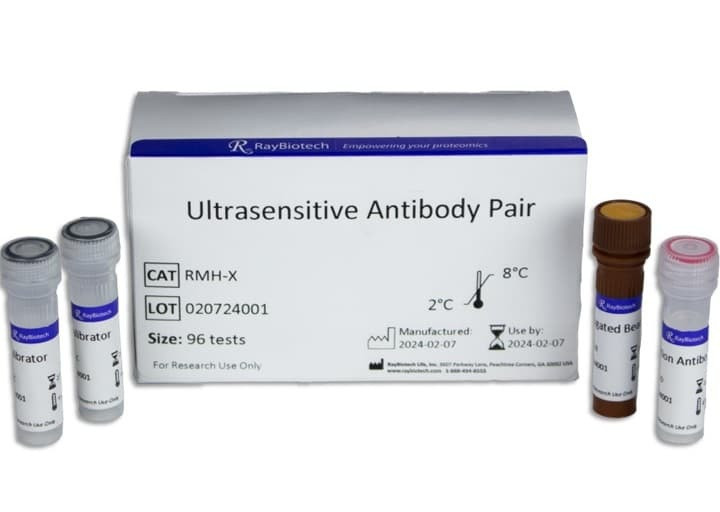 Human Insulin Ultrasensitive Antibody Pair