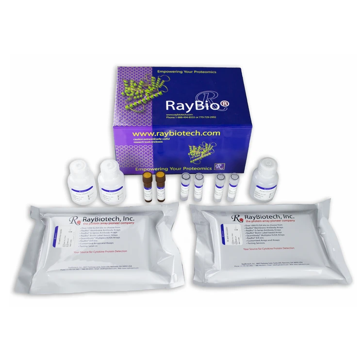 Total Thiol Quantification Assay Kit