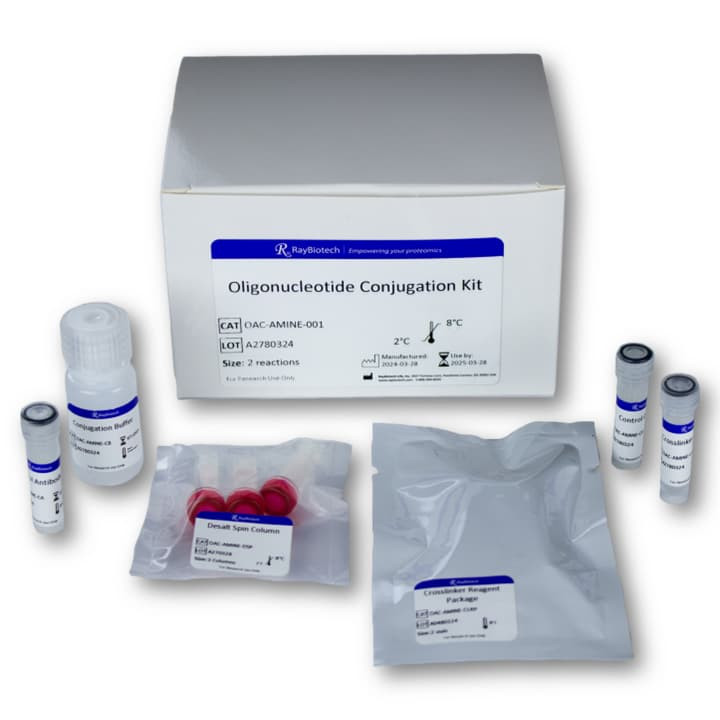 Oligonucleotide Conjugation Kit