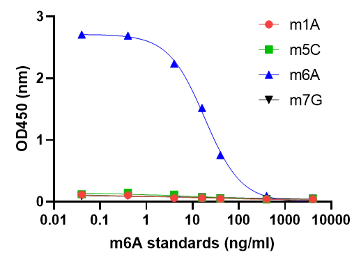 m6A (N6-methyladenosine) ELISA Kit
