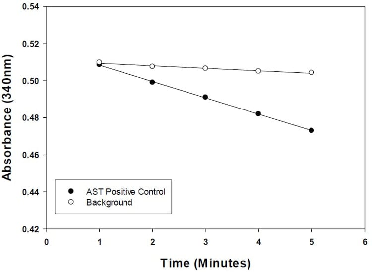 Aspartate Aminotransferase (AST) Activity Assay Kit (Colorimetric)
