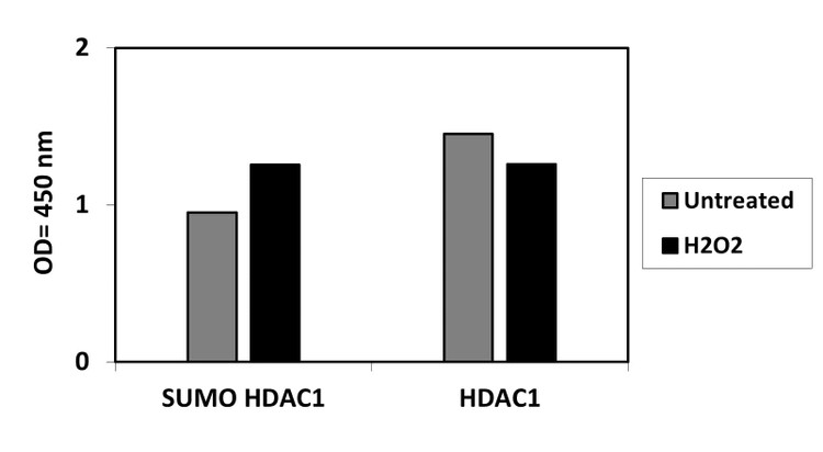 Jurkat cells were treated or untreated with H2O2. Cell lysates were analyzed using this ELISA.
