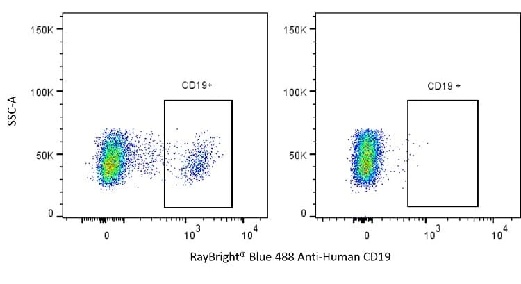 Anti-Human CD19 Antibody, RayBright® Blue 488