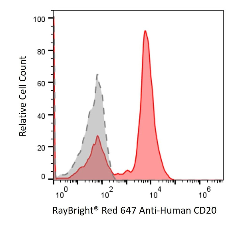 Anti-Human CD20 Antibody, RayBright® Red 647