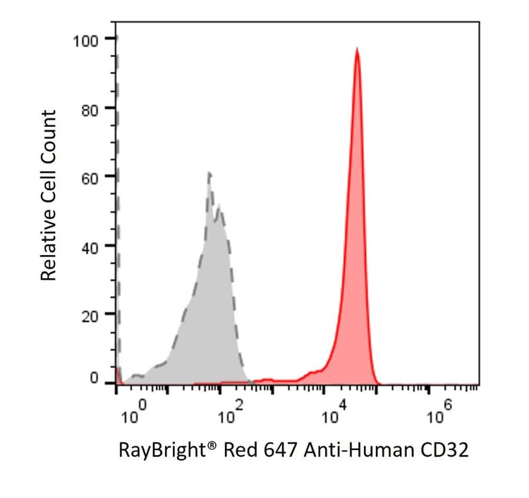 Anti-Human CD32 Antibody, RayBright® Red 647