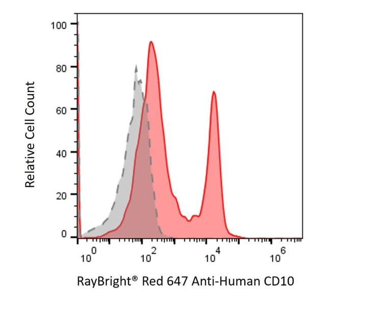 Anti-Human CD10 Antibody, RayBright® Red 647