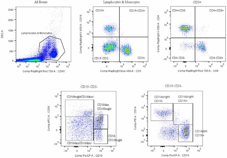 Representative data collected using Human TBMNK Flow Cytometry Kit