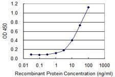 Anti-EDG3 Antibody